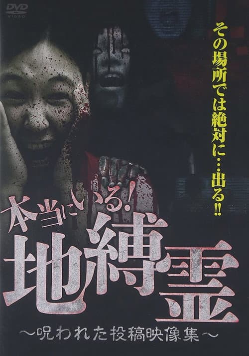 Постер до фільму «It's Really There! Earth-Bounded Spirit - Cursed Posted Video Collection»