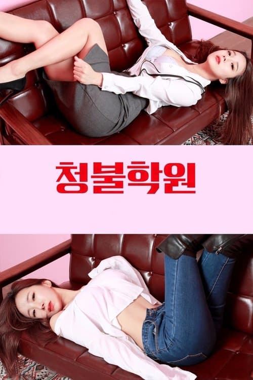 Poster for Adult Only Institute