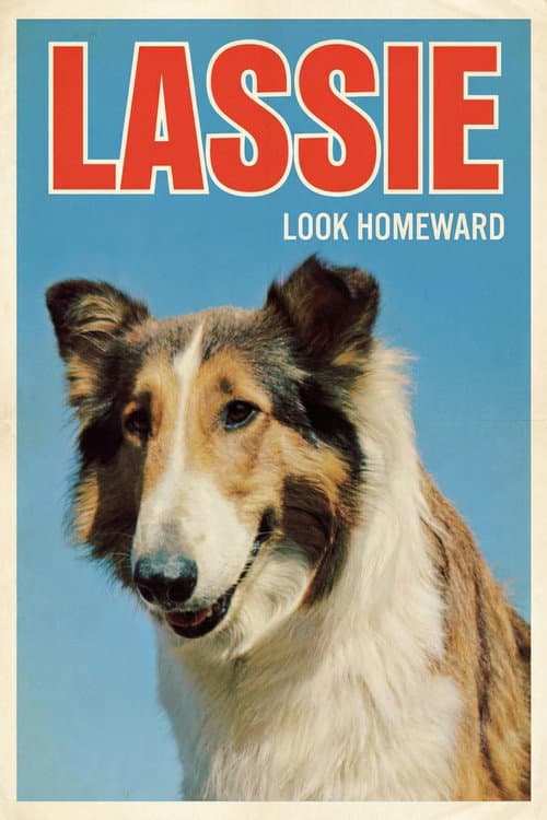 Poster for Look Homeward