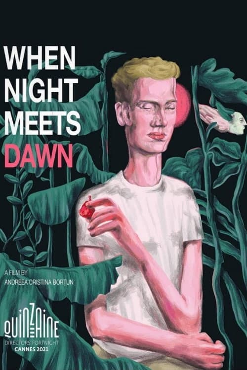 Poster for When Night Meets Dawn