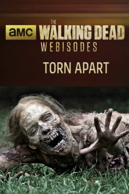 Poster for The Walking Dead: Torn Apart