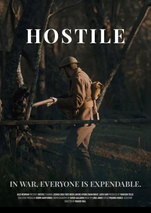 Poster for Hostile
