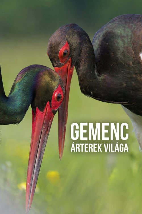 Poster for Gemenc – The World of Floodplains