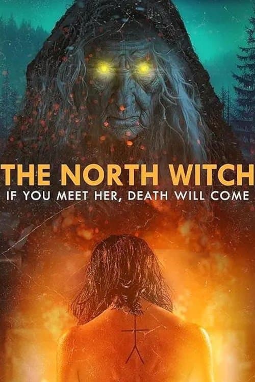 Poster for The North Witch