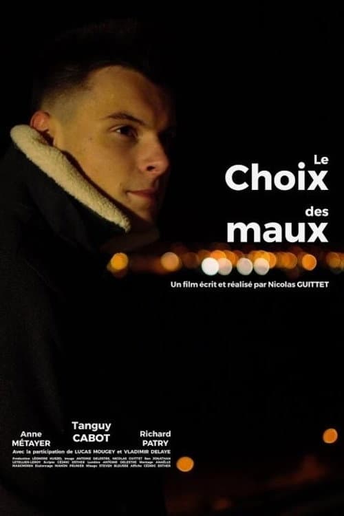 Poster for Le choix des maux