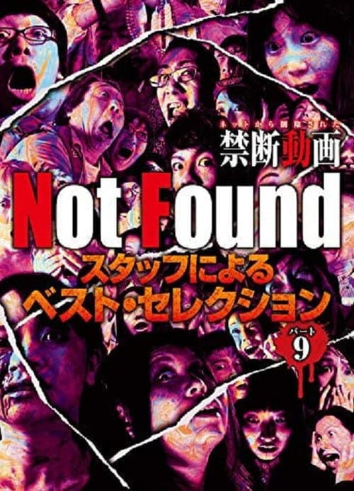 Poster for Not Found - Forbidden Videos Removed from the Net - Best Selection by Staff Part 9