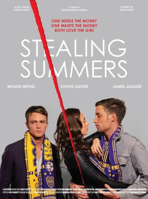 Poster for Stealing Summers