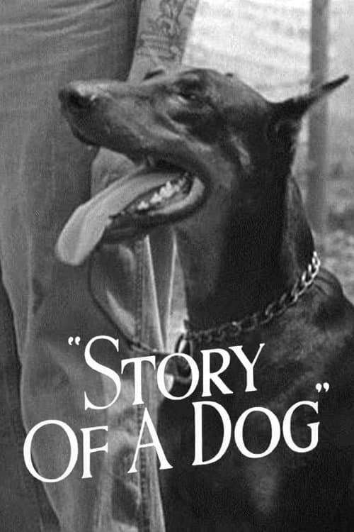 Постер до фільму «Story of a Dog»