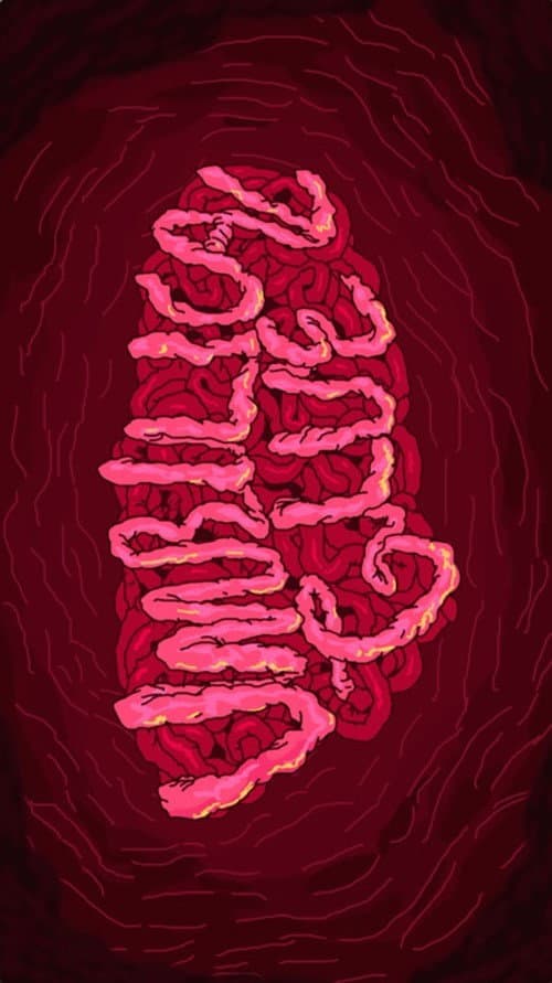 Poster for Umbilical Glue