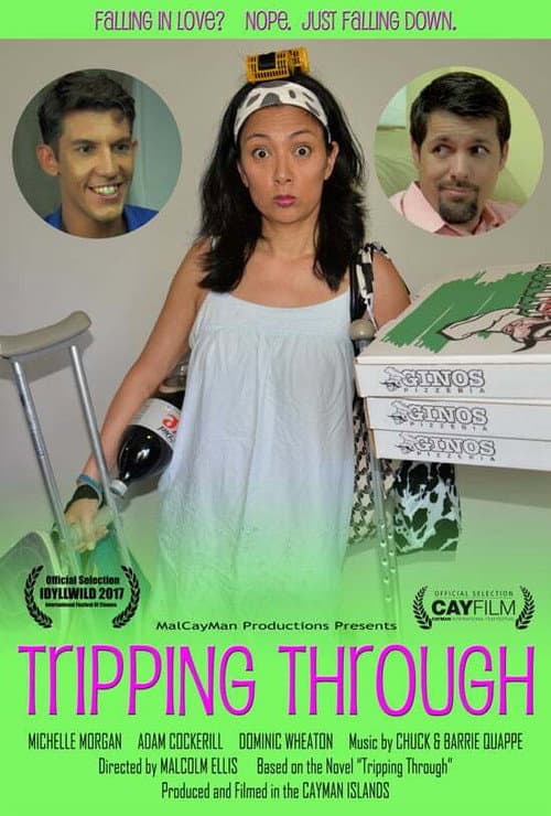 Poster for Tripping Through