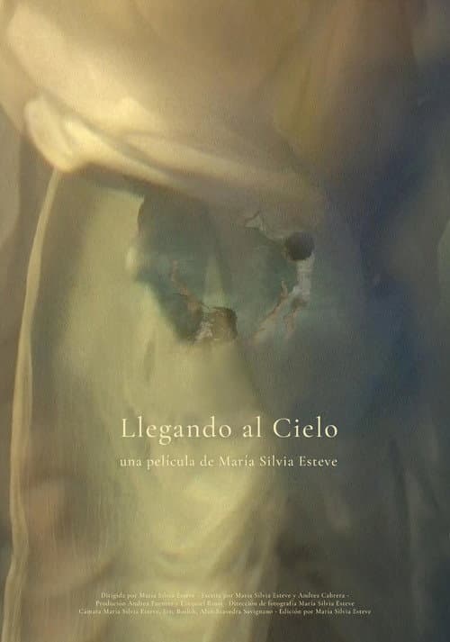 Poster for Llegando al cielo