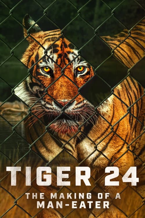 Poster for Tiger 24