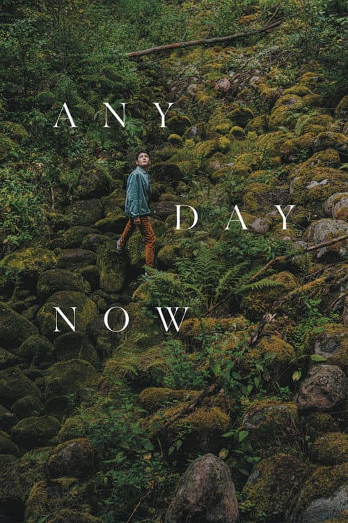 Poster for Any Day Now