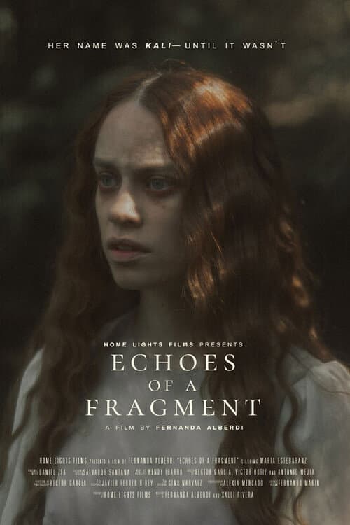 Poster for Echoes of a Fragment