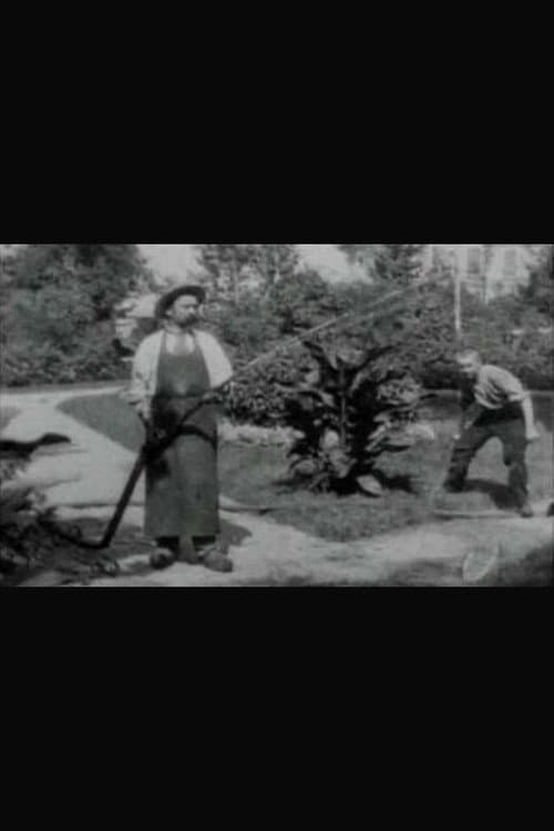 Poster for The Bad Boy and the Gardener