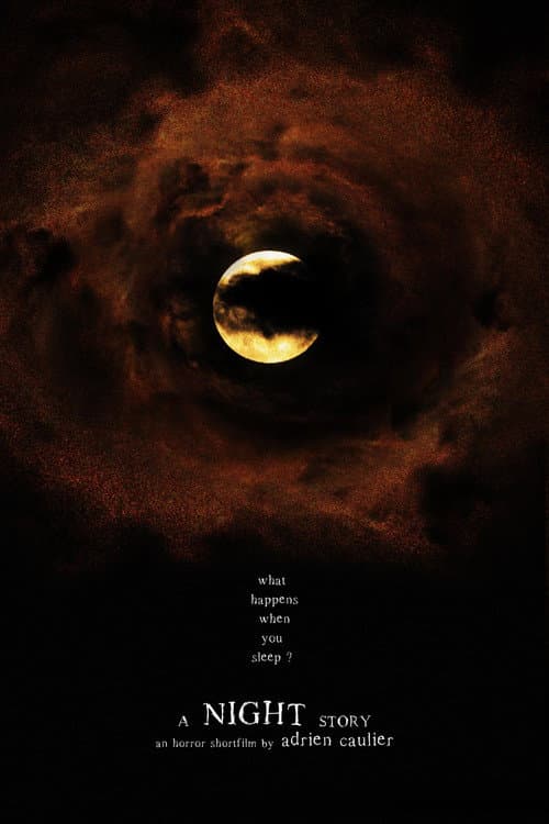 Poster for A Night Story