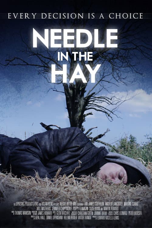Poster for Needle in the Hay