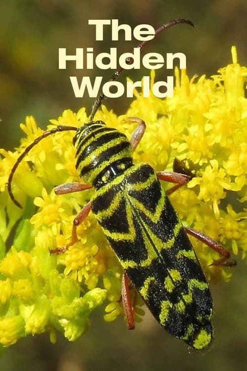 Poster for The Hidden World