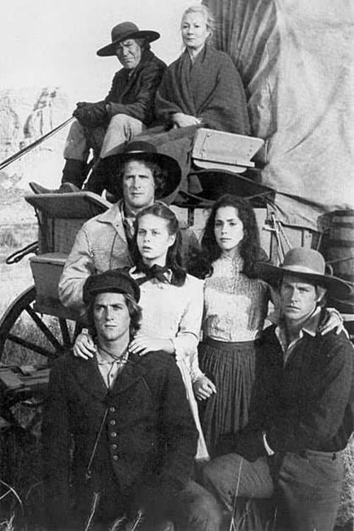 Poster for The Chisholms