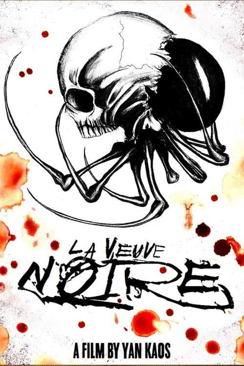 Poster for La Veuve Noire