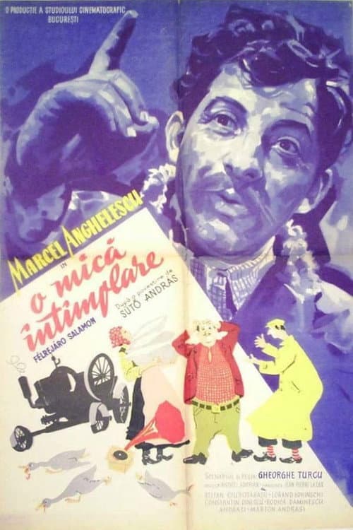 Poster for O mica întîmplare