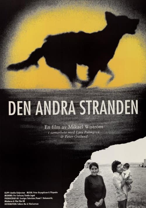 Poster for The Second Shore