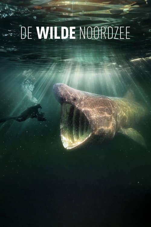 Poster for North Sea – Nature Untamed