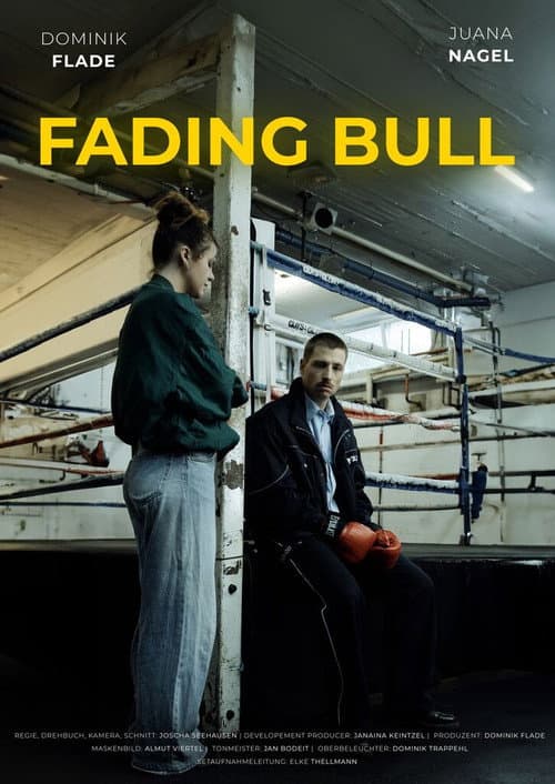 Poster for Fading Bull
