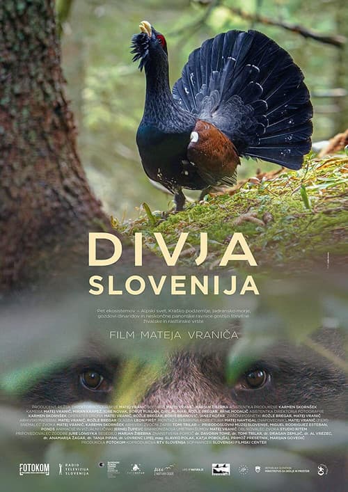 Poster for Wild Slovenia