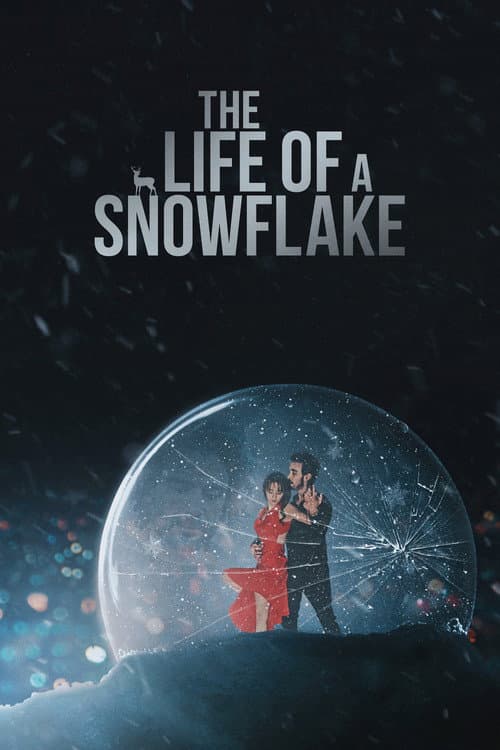 Poster for The Life of a Snowflake
