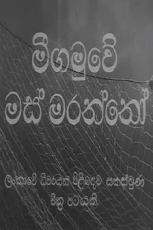 Poster for Fishermen of Negombo