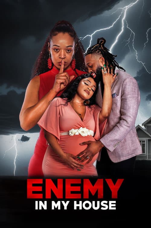 Poster for Enemy in My House