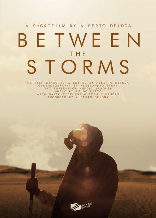 Poster for Between the Storms