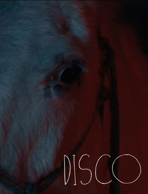 Poster for Disco