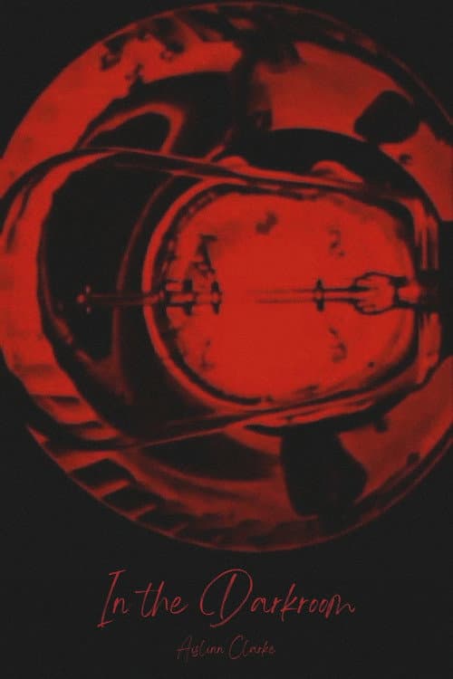 Poster for In the Darkroom