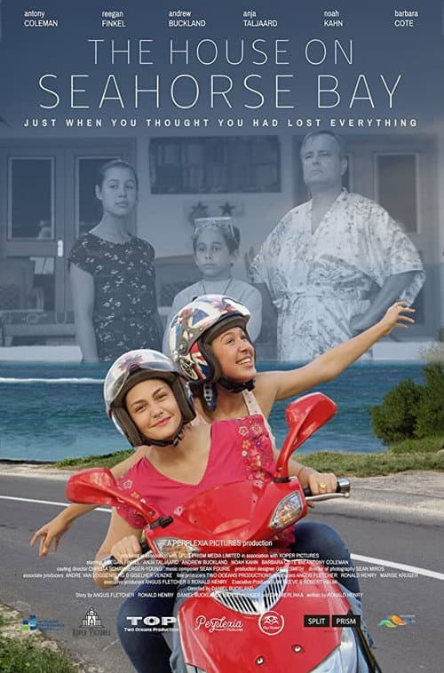 Poster for The House on Seahorse Bay