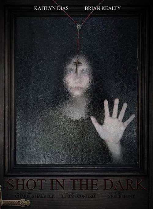 Poster for Shot in the Dark