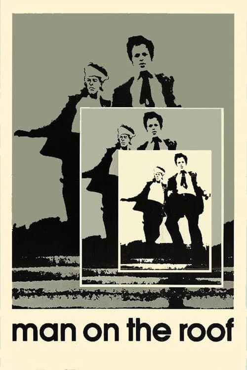 Poster for Man on the Roof