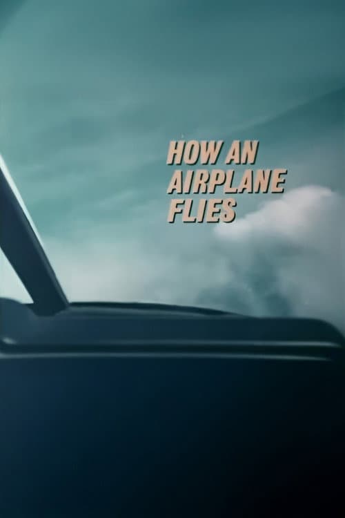 Poster for How An Airplane Flies
