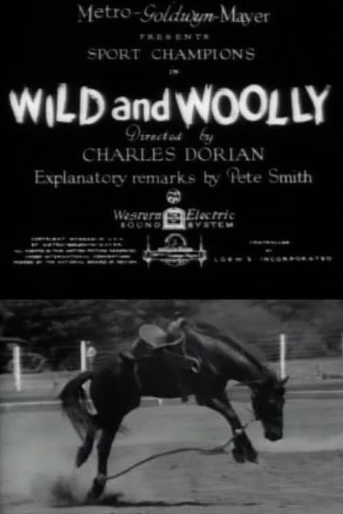 Poster for Wild and Woolly