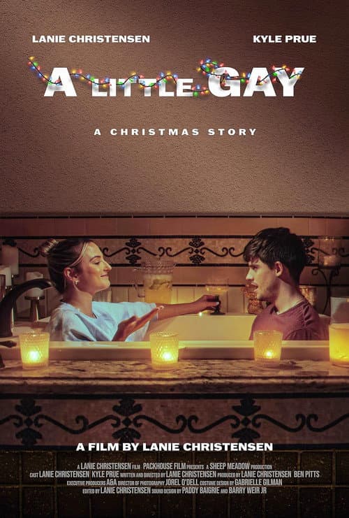 Poster for A Little Gay
