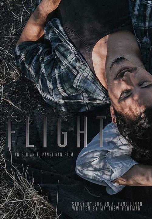 Poster for Flight