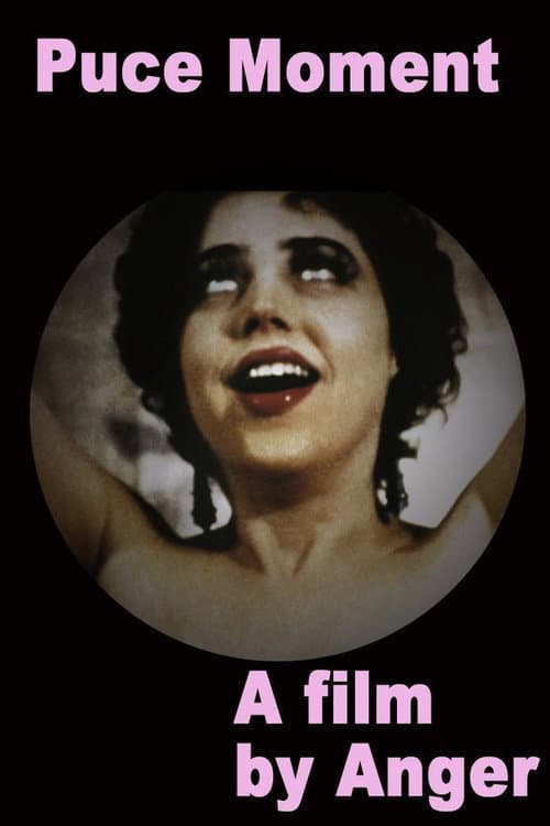 Poster for Puce Moment