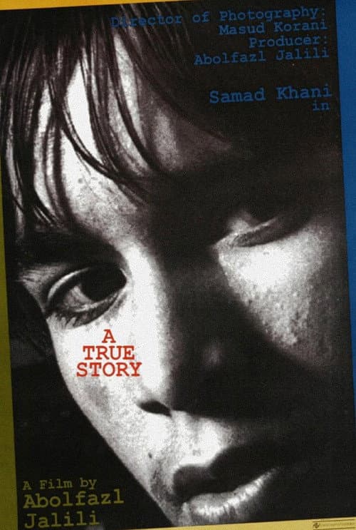 Poster for A True Story