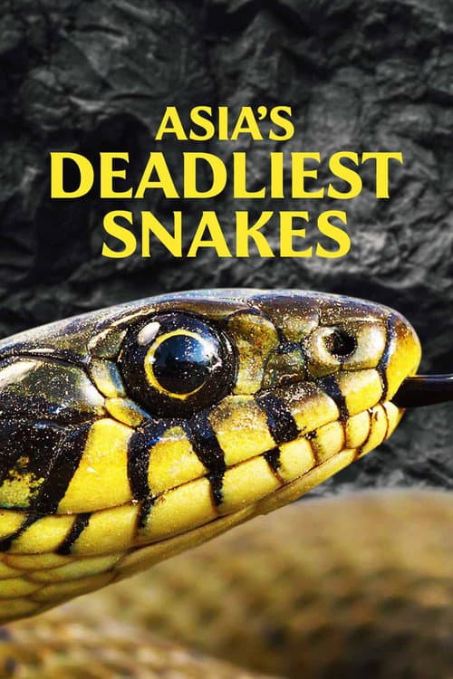 Poster for Asia's Deadliest Snakes