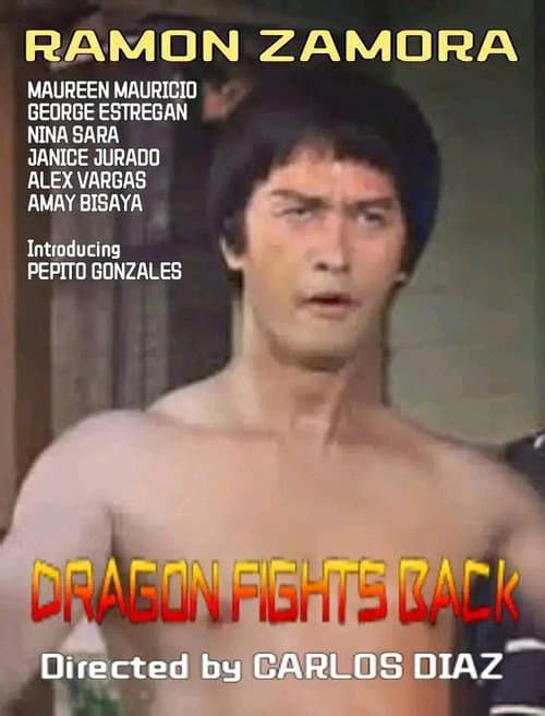 Poster for Dragon Fights Back