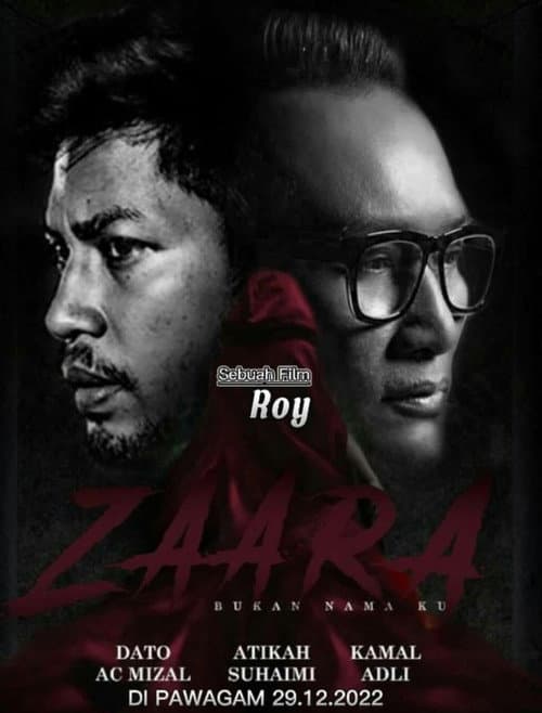 Poster for Zaara
