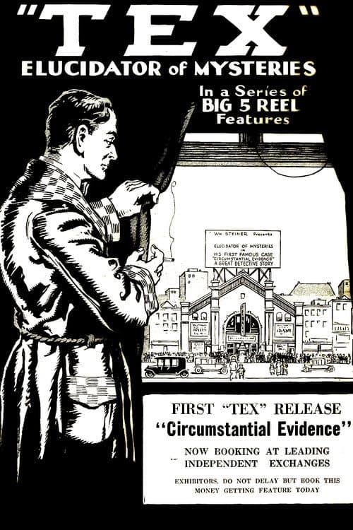 Poster for Detective Tex: Circumstantial Evidence