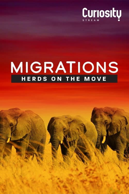 Poster for Migrations: Herds on the Move