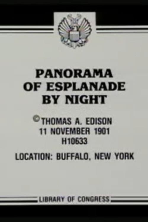 Poster for Panorama of Esplanade by Night
